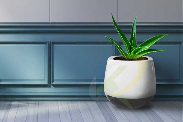 Interior Pots - 3006