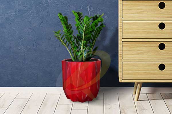 Interior Pots - 3011