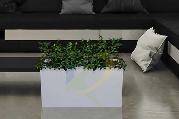 Interior Pots - 3013