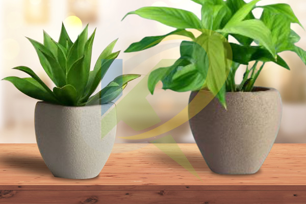 Interior Pots - 3014
