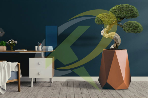 Interior Pots - 3040