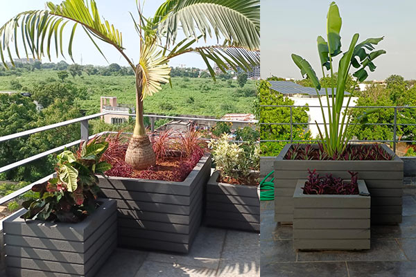 Square square-and-rectangle-pots